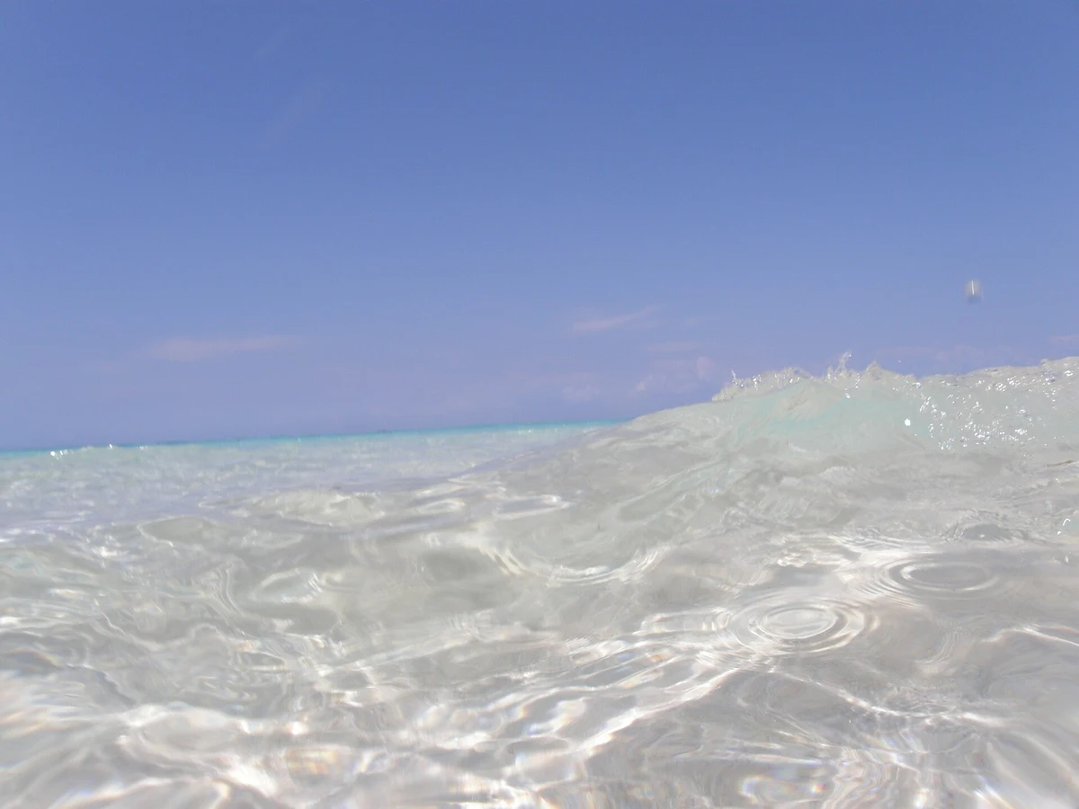 Nakupenda Beach & Sandbank